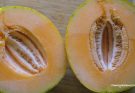 ST2. 30 Images That Will Prove That You Have a Dirty Mind