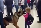 A Terminal Friendship: Toddler Meets Gentle Giant at the Gate