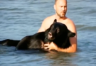 A 400 Pound Black Bear Was Drowning In The Ocean, But One Man Refused To Let That Happen