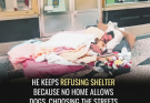 A homeless man turns down shelter — not for himself, but to stay with his loyal dog ❤️